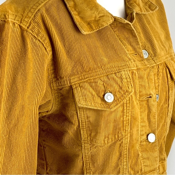 Pac Sun Los Angeles Gold Yellow Corduroy Cropped Long Sleeve Jacket size X-Small - Picture 7 of 15